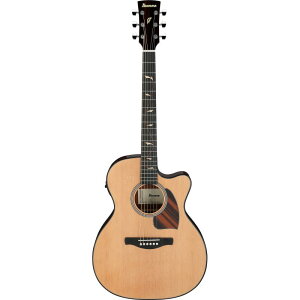 アイバニーズ Ibanez エレアコ」の人気商品一覧 | 安い商品を通販 