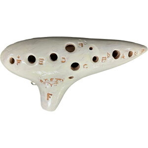 yCPxIWiEIJ[iuftzj[E}GXg MST-2F \vmF Rl`[m(MST-2F W SC) AP^IJ[i (Vi)