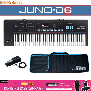 JUNO-D6 �_���p�[�y�_���Z�b�g(DP-10)(�I���W�i���L�������O�P�[�X�v���[���g) SYNTHESIZER �V���Z�T�C�U�[ ���[�����h ���z�������v���m�F Roland (�V�i)