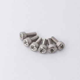【PREMIUM OUTLET SALE】 Stainless Saddle Mounting Screws (Set of 6) ESP (新品)