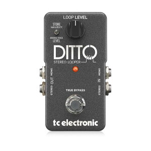 DITTO STEREO LOOPER tc electronic (�V�i)