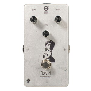 zB DAVID over distortion@I[o[hCu@fBXg[V Dophix (Vi)
