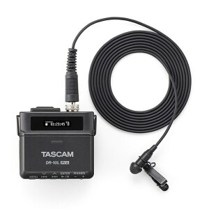 zB yňSALEzDR-10L Pro(^XJ)(32rbgt[g^Ήs}CNEtB[hR[_[) TASCAM (Vi)