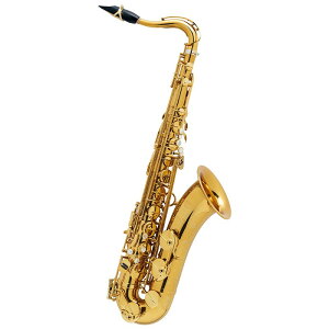 ei[TbNX Z}[ Supreme Vv[ DGL(_[NS[hbJ[) y&ZbgAbvoׁzy5NԃL[oXz Selmer Paris (Vi)