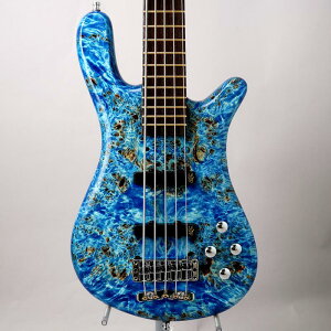 Pro Series Streamer LX 5st Birdseye Poplar Top (Bleached Blue TP HP) [Ikebe 50th Anniversary Special Edition] #013994 Warwick (�V�i)
