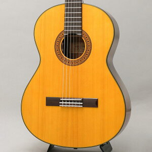 CE-3DNC KC K.Yairi (Vi)