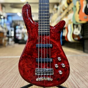 Pro Series Streamer LX 5st Birdseye Poplar Top (Dark Bleached Red TP HP) [Ikebe 50th Anniversary Special Edition] #13959 Warwick (�V�i)