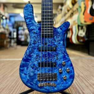 Pro Series Streamer LX 5st Birdseye Poplar Top (Bleached Blue TP HP) [Ikebe 50th Anniversary Special Edition] #14001 Warwick (�V�i)