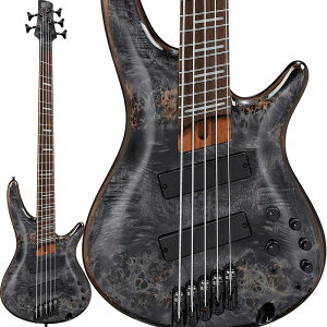 Bass Workshop SRMS805-DTW Ibanez (Vi)