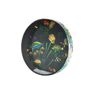 Ocean Drum 16 / �I�[�V�����h���� [LREMET021610] REMO (�V�i)