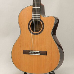 CTM CE-3D Select Cedar Top `Ikebe Original Order Model` KC K.Yairi (Vi)