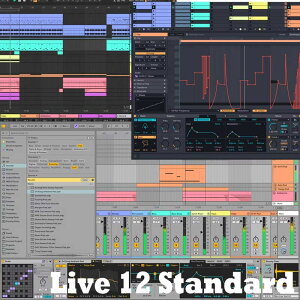 Live 12 Standard (����s��)(�I�����C���[�i) ableton (�V�i)