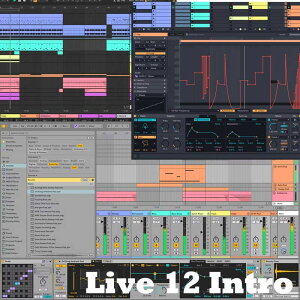 Live 12 Intro (����s��)(�I�����C���[�i) ableton (�V�i)