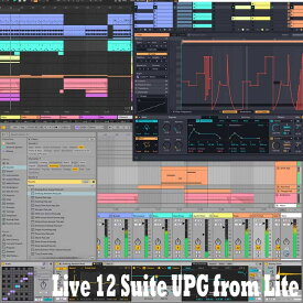 Live 12 Suite UPG from Lite (代引不可)(オンライン納品) ableton (新品)