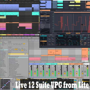 Live 12 Suite UPG from Lite (s)(IC[i) ableton (Vi)