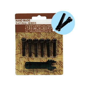 yubNtCf[Z[z BP-150WiG{j[jyAR[XeBbNM^[pubWsz PICK BOY (Vi)