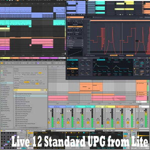 Live 12 Standard UPG from Lite (����s��)(�I�����C���[�i) ableton (�V�i)
