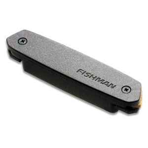 Neo-D Magnetic Soundhole Pickup Humbucking FISHMAN (Vi)