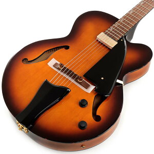 AFC71-VLS Ibanez (Vi)