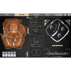 Inspirata PROFESSIONAL Edition (s)(IC[i) Inspired Acoustics (Vi)