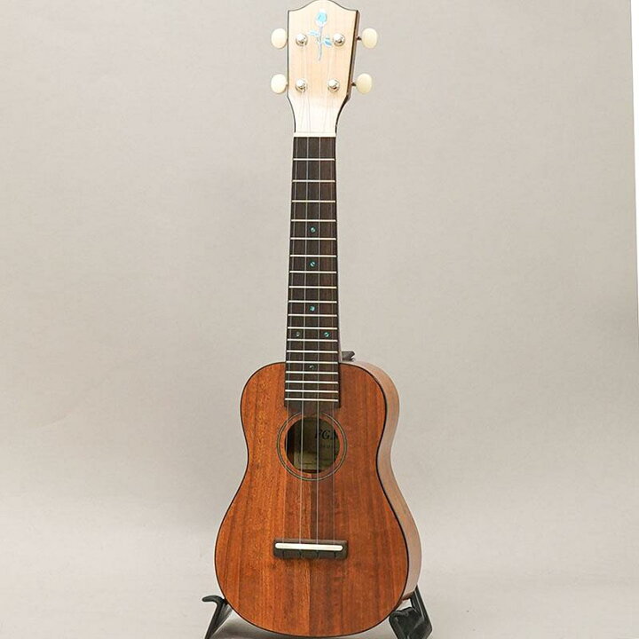 楽天市場】FUS-TS-02 フジゲン FUJIGEN (新品) : イケベ楽器楽天ショップ