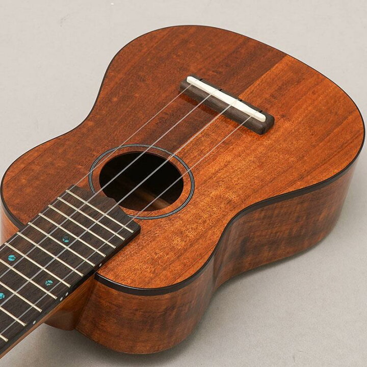 楽天市場】FUS-TS-02 フジゲン FUJIGEN (新品) : イケベ楽器楽天ショップ