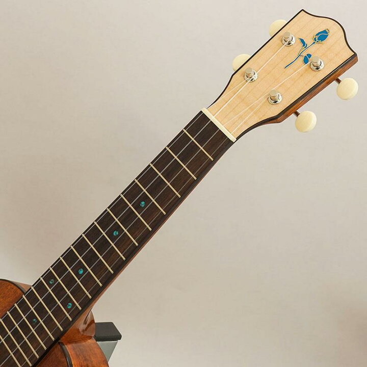 楽天市場】FUS-TS-02 フジゲン FUJIGEN (新品) : イケベ楽器楽天ショップ