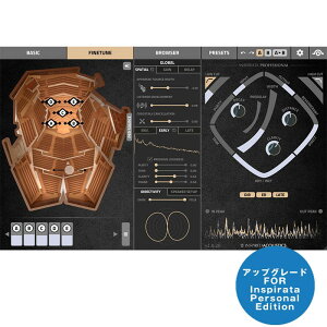 Inspirata Personal to Professional Upgrade(AbvO[h)(s)(IC[i) Inspired Acoustics (Vi)