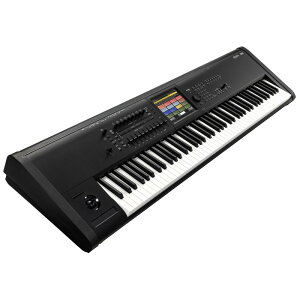 zB KRONOS3-88 (RO)(88)(VZTCU[)(RH-3EFCebhEn}[EANV) NmX KORG (Vi)