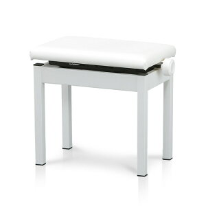 WB-35WiᎩ݈֎qjyzCgz KAWAI (Vi)