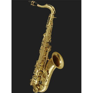 y񂹏izei[TbNX Lm{[ T5 AbJ[ y&ZbgAbvoׁzy5NԃL[oXz Cannonball (Vi)