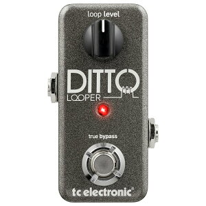 DITTO LOOPER�i�e�B�[�V�[�G���N�g���j�b�N�j���[�p�[ tc electronic (�V�i)