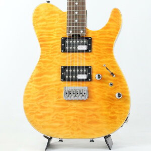 KR-24-2H-FXD (Amber/R) SCHECTER (�V�i)