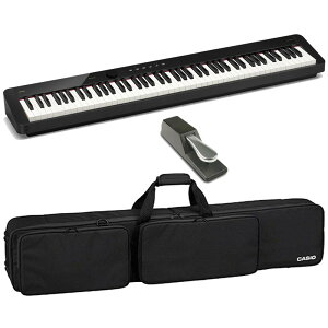 JVI PX-S5000{w鏃\tgP[X+_p[y_Zbg(Eʓrς)(s)(dqsAm) CASIO (Vi)