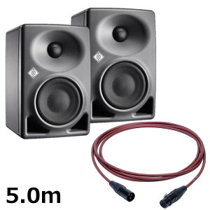 �y�Đ��������Z�[���zKH 80 DSP A G (�y�A)�yPASSGO RED�X�s�[�J�[�P�[�u���Z�b�g(XLR-XLR)5.0m�z(�m�C�}��)(���j�^�[�X�s�[�J�[)(KH80)(�A�N�e�B�u���j�^�[�X�s�[�J�[) NEUMANN (�V�i)