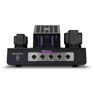 PF-20T yH̃X[p[Z[z Ampeg (Vi)