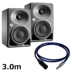 �y�Đ��������Z�[���zKH 80 DSP A G (�y�A)�yPASSGO BLUE�X�s�[�J�[�P�[�u���Z�b�g(TRS-XLR)3.0m�z(�m�C�}��)(���j�^�[�X�s�[�J�[)(KH80)(�A�N�e�B�u���j�^�[�X�s�[�J�[) NEUMANN (�V�i)