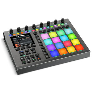 ARUBA (�r�[�g���C�L���O�}�V��) Nektar Technology (�V�i)