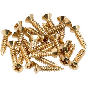 �y�t���Z�[���z Pickguard/Control Plate Mounting Screws (24) (Gold) (0994924000) Fender USA (�V�i)