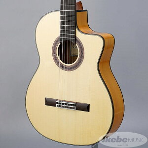 Iberia Series GK Studio 【エレガット】 コルドバ Cordoba (新品)