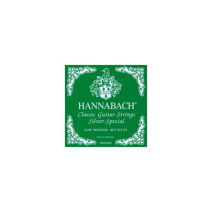 SILVER SPECIAL GREEN [Low Tension] niobn HANNABACH (Vi)