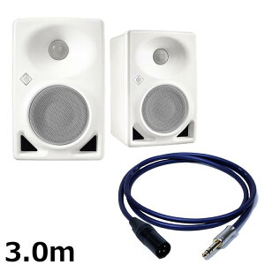 KH 80 DSP A W (�y�A)�yPASSGO BLUE�X�s�[�J�[�P�[�u���Z�b�g(TRS-XLR)3.0m�z(�z���C�g)(�m�C�}��)(���j�^�[�X�s�[�J�[)(KH80)(�A�N�e�B�u���j�^�[�X�s�[�J�[) NEUMANN (�V�i)