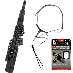 }n fW^TbNXiDIGITAL SAXj YDS-120yEChVZpo[hXgbv&}EXs[Xpb`tZbgz YAMAHA (Vi)