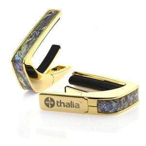 Exotic Shell Series 24K Gold Dragon Abalone [Vdl] ^AJ| Thalia Capo (Vi)