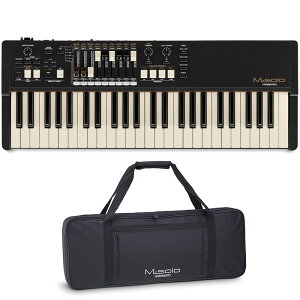 M-solo+p\tgP[XZbg (49ՁEnhh[o[IK) HAMMOND (Vi)