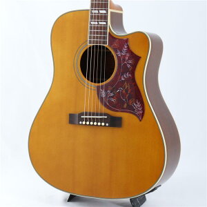 Hummingbird Standard EC �iAntique Natural�j �G�s�t�H�� Epiphone (�V�i)