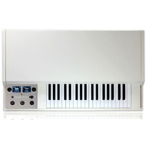 Digital Mellotron M4000D y{ƃgАEfW^Mellotronz Mellotron (Vi)