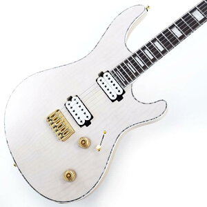 Regius 6 (Trans White Satine w/Glod Hardware) MAYONES (�V�i)