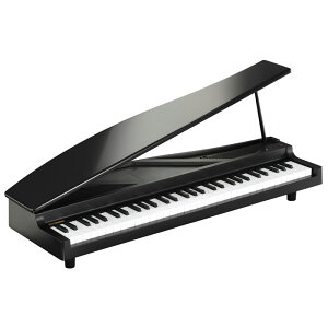 �����z�B �y���Z����s�����Z�[���zmicroPIANO BK �u���b�N�y���蕨�ɂ��œK��z KORG (�V�i)