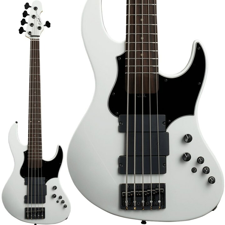 楽天市場】Platinum E-AMAZE-5-190 (Snow White) Edwards (新品 